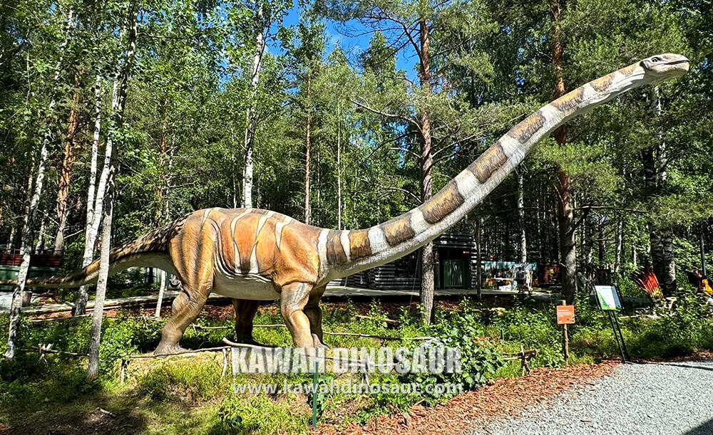 5 Mamenchisaurus realistiese dinosourus in rusland dinosourus park