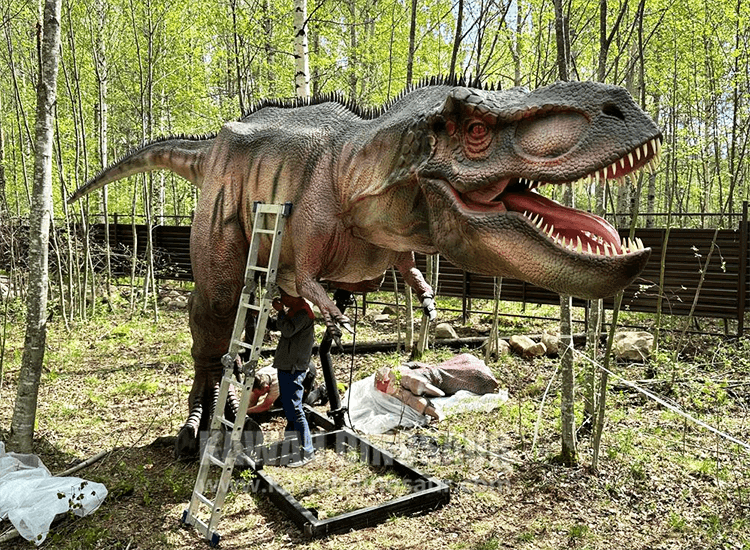 KaWah's installers are installing Tyrannosaurus Rex models for customer