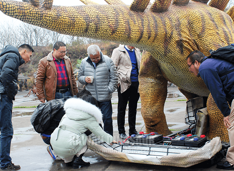 The Mexican customers visited the KaWah Dinosaur factory and was learning about the internal structure of the stage Stegosaurus model