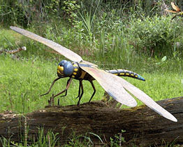 animatronic-insects-model_31